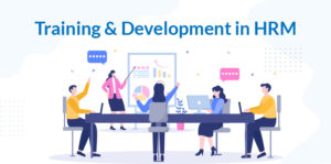 Training and Development