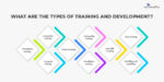 What is Training and Development in HRM? Definition & Importance