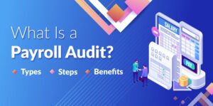 Payroll Audit Meaning