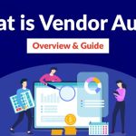 Vendor Audit Overview