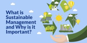 What is Sustainable Management