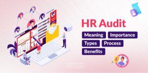 HR Audit Meaning