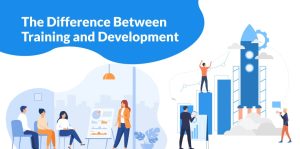 Difference Between Training and Development