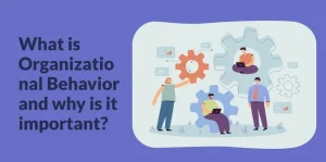 What is Organizational Behavior